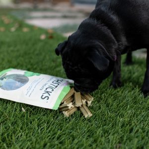 Toothsticks - Fresh Mint Dental Sticks For Dogs