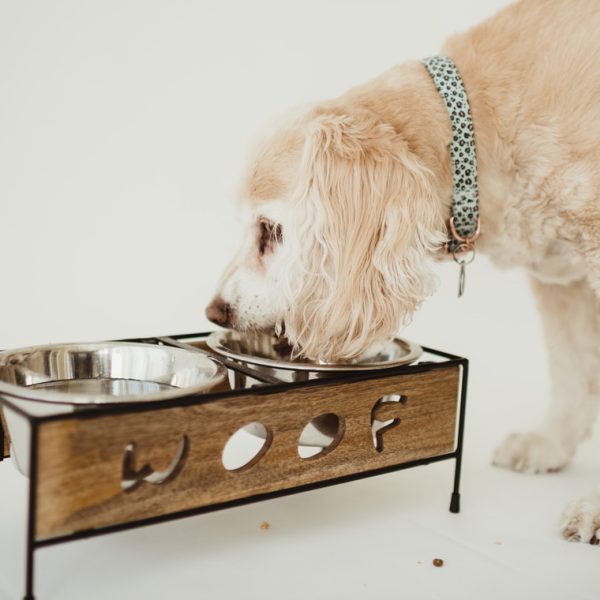 Wooden Woof Cut Dog Diner